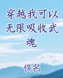穿越我可以无限吸收武魂