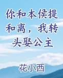 你和本侯提和离，我转头娶公主小说下载