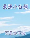 最强小白领
