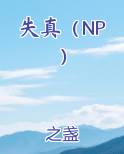 失真（NP）