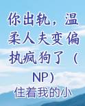 你出轨，温柔人夫变偏执疯狗了（NP）