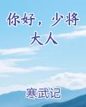 你好，少将大人