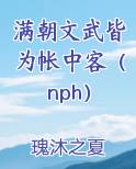 满朝文武皆为帐中客（nph）